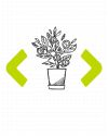 Studiare l’entry strategy in Italia di una piattaforma di micropagamenti internazionale