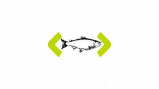 Restyling logo Nokia: ecco perché tutto è iniziato con un salmone e finito con un logotipo